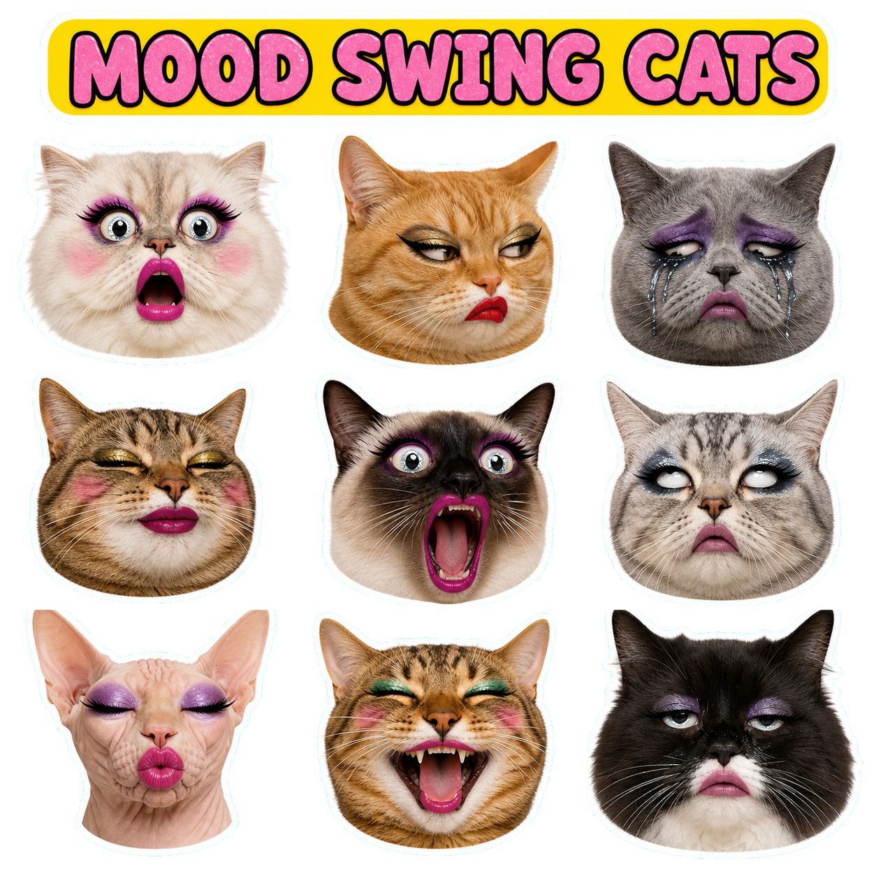 Exaggerated Cat Faces - image 1