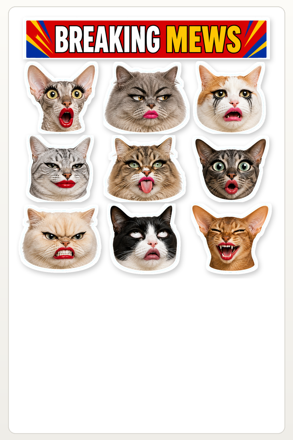 Exaggerated Cat Faces - image 1