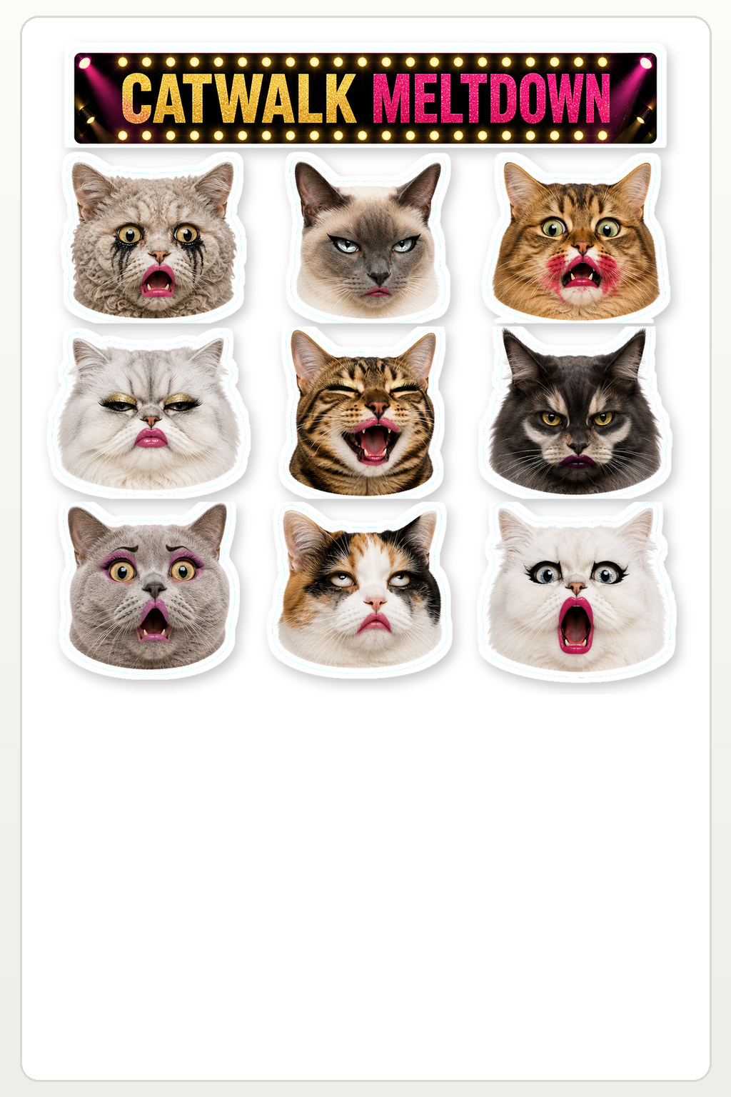 Exaggerated Cat Faces - image 1