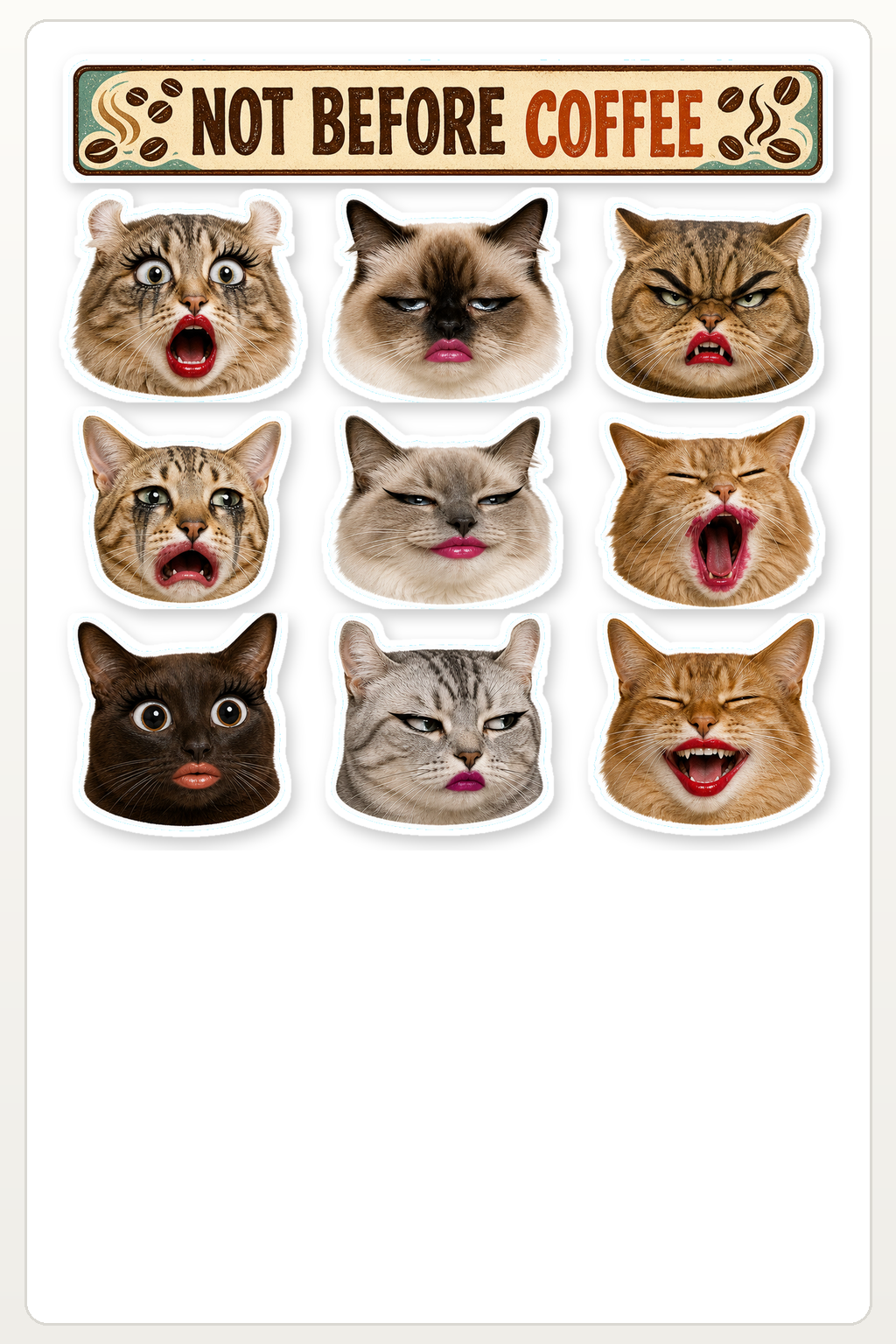 Exaggerated Cat Faces - image 1