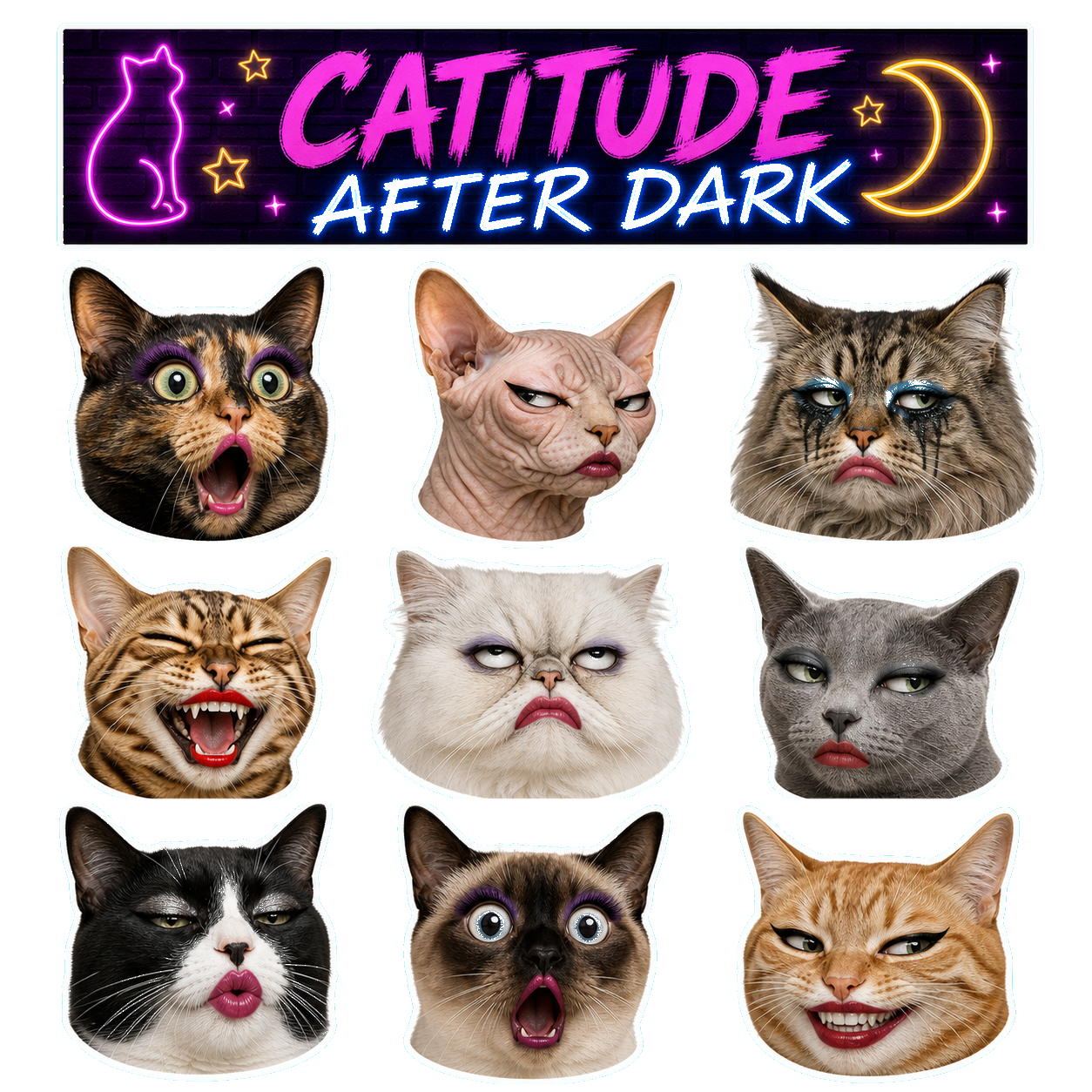 Exaggerated Cat Faces - image 2