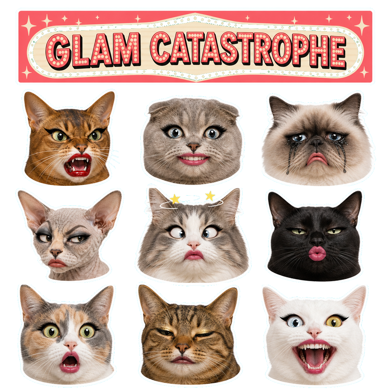 Exaggerated Cat Faces - image 2