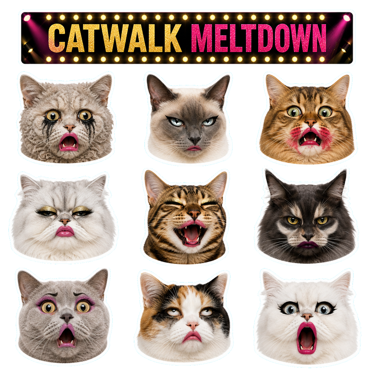 Exaggerated Cat Faces - image 2