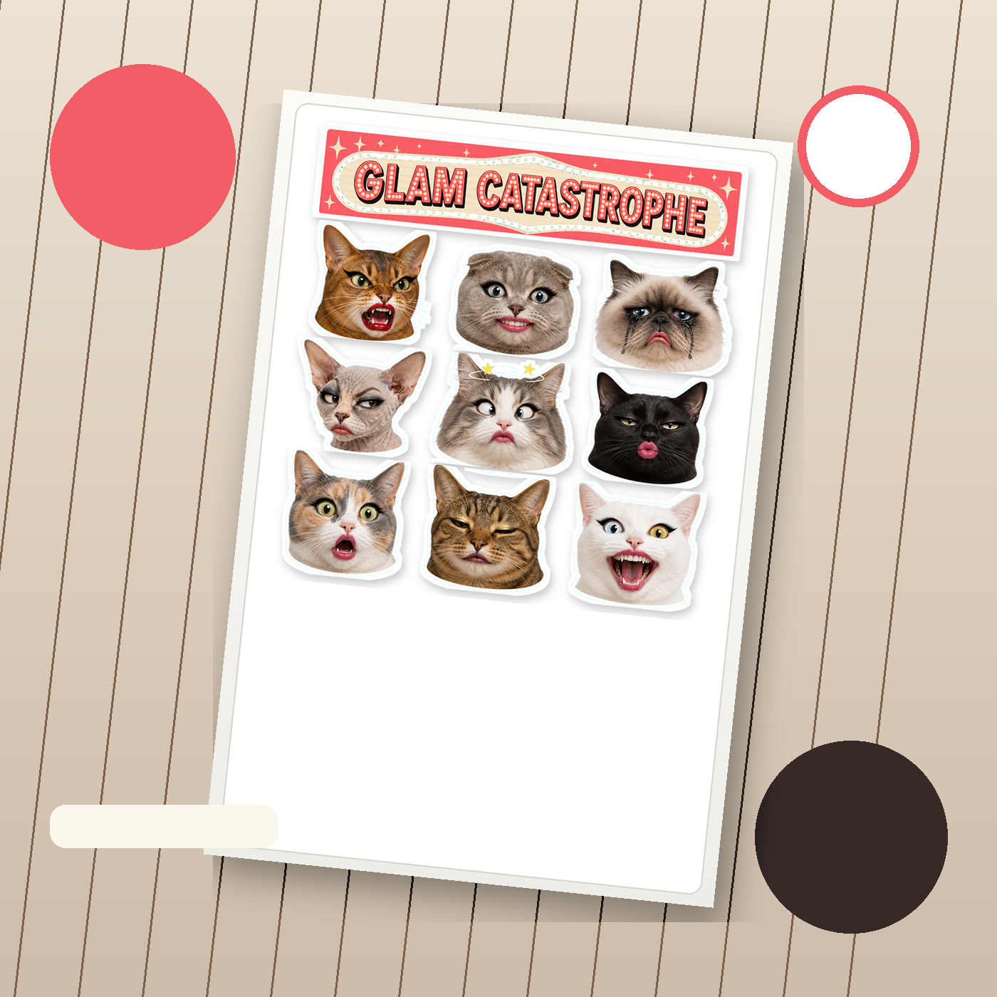 Exaggerated Cat Faces - image 3