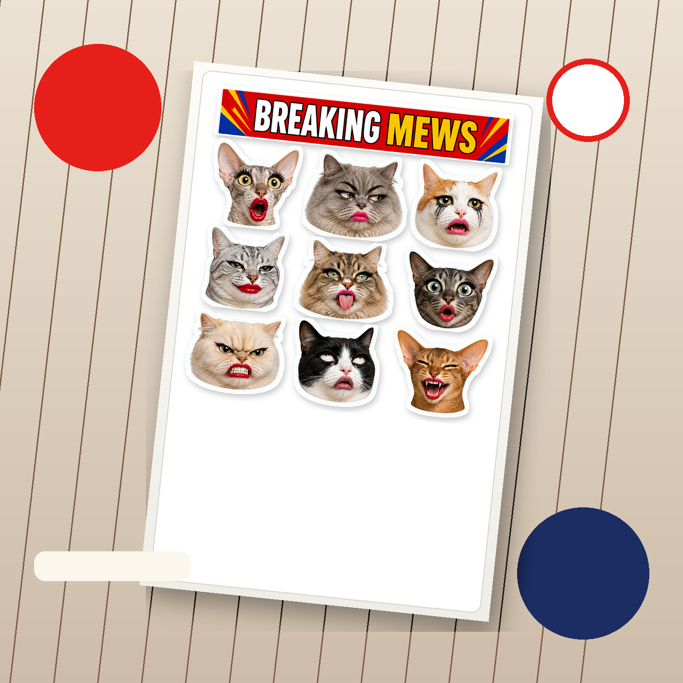 Exaggerated Cat Faces - image 3
