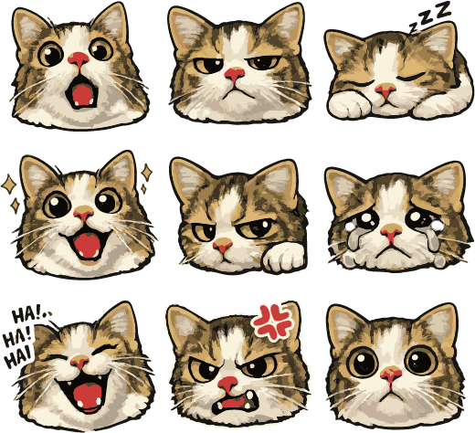 Funny Cat Expressions Sticker Pack
