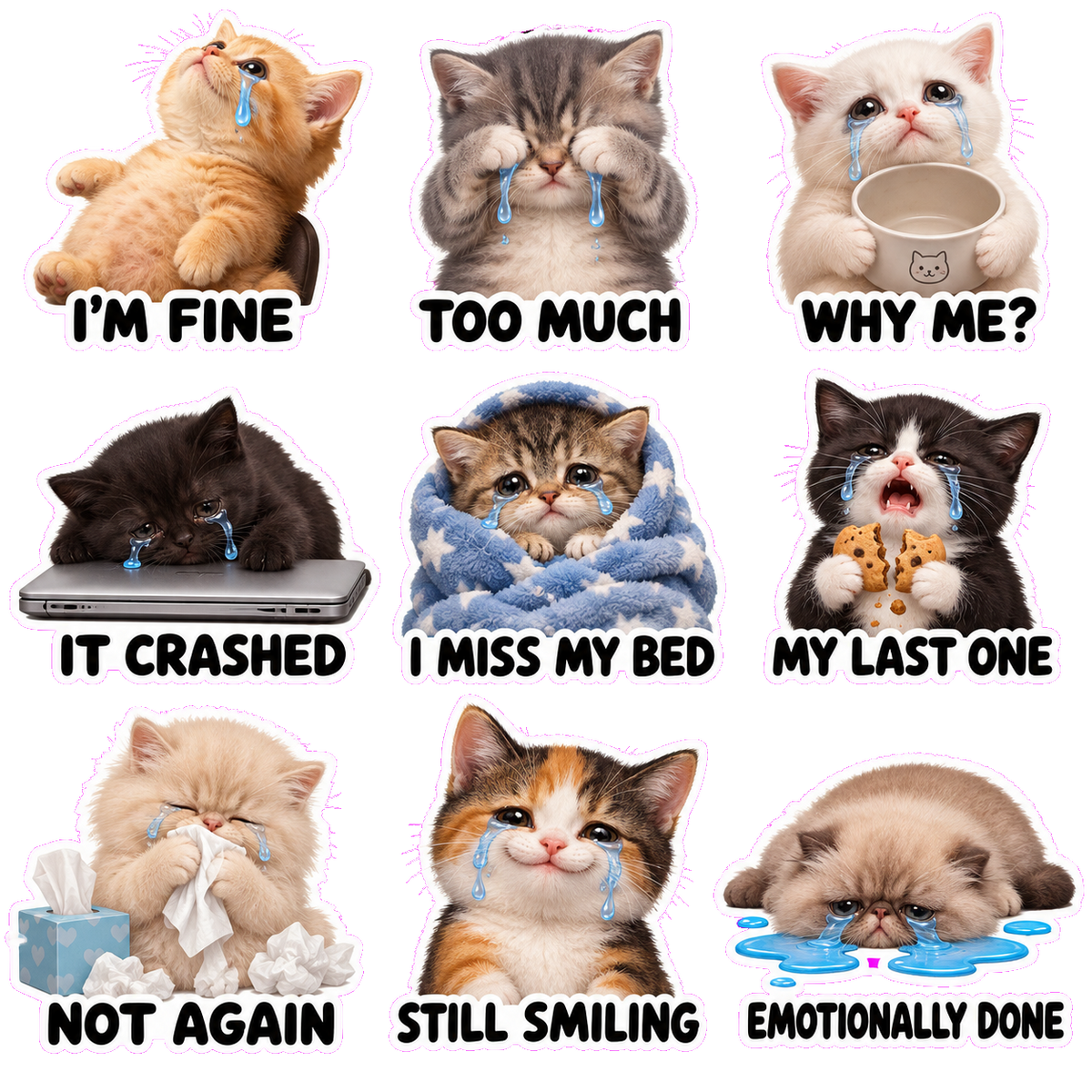 Crying Cat