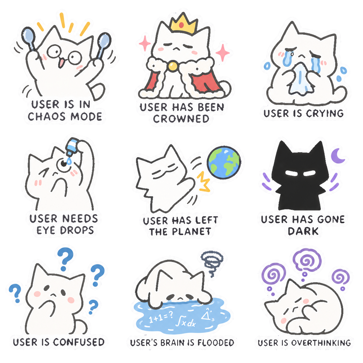 A Cat's Day