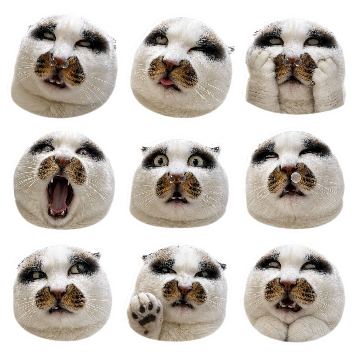 Everyday Mood 2