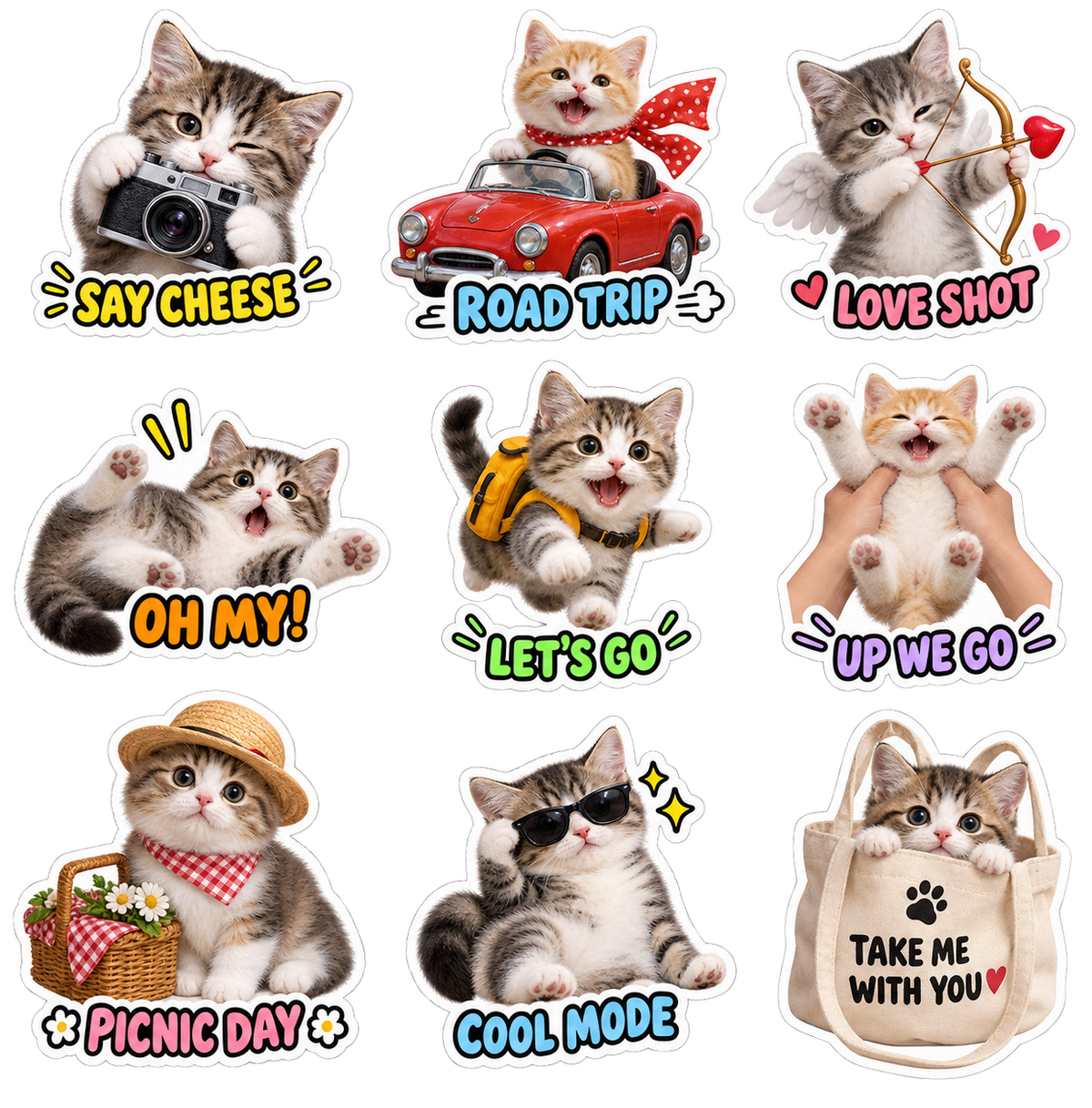 Cat’s Day
