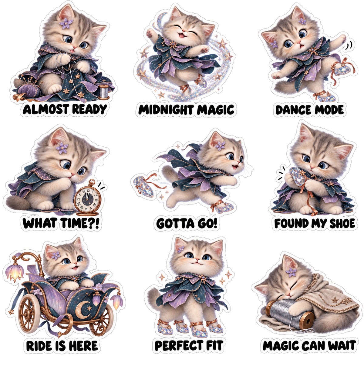 Midnight Cat