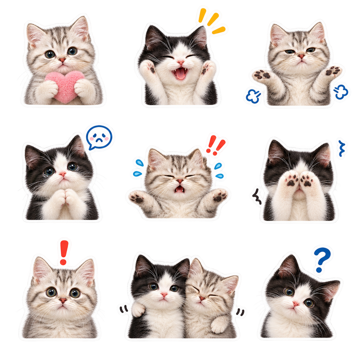Cat Reactions