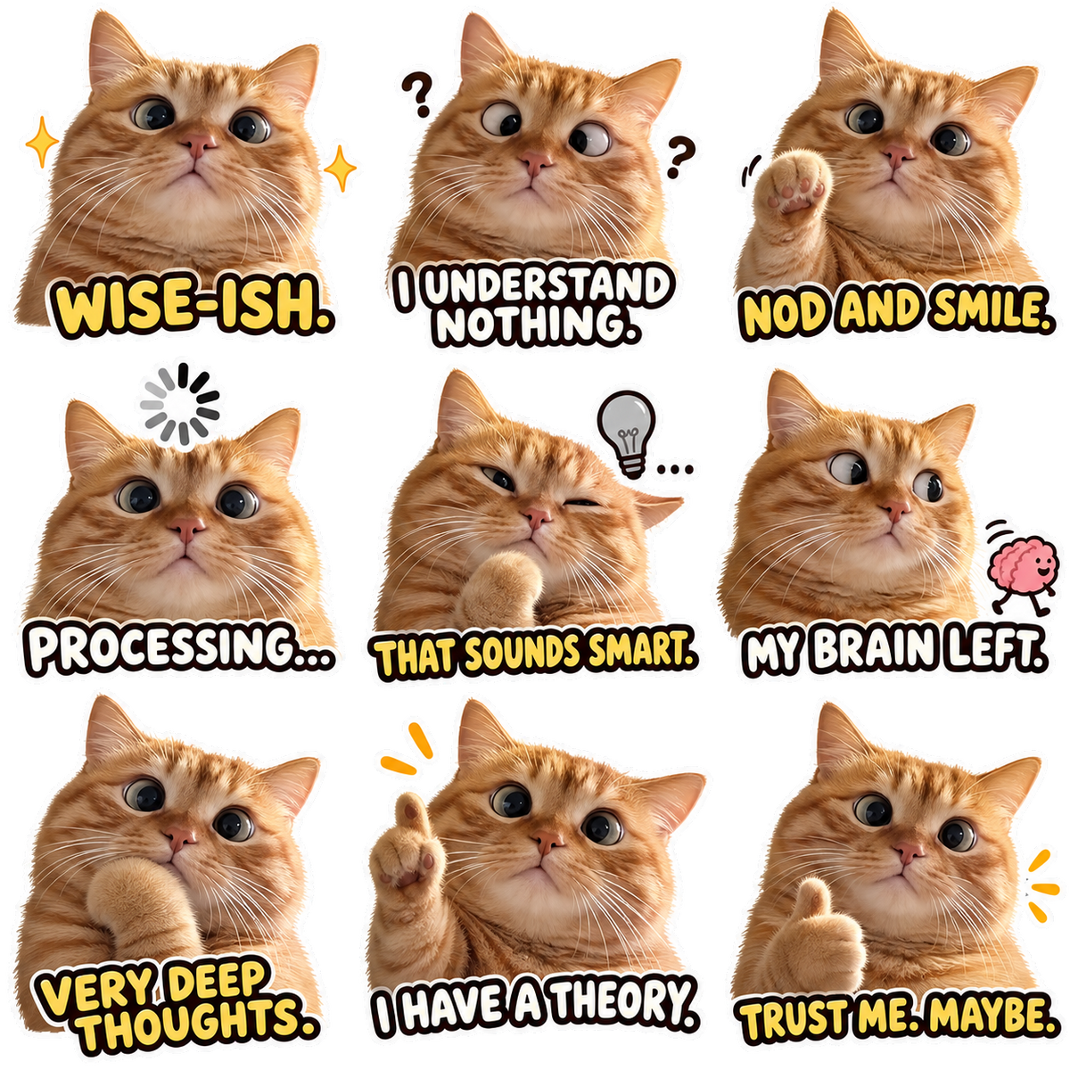 Wise Meow