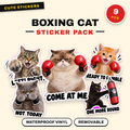 Boxing Cat