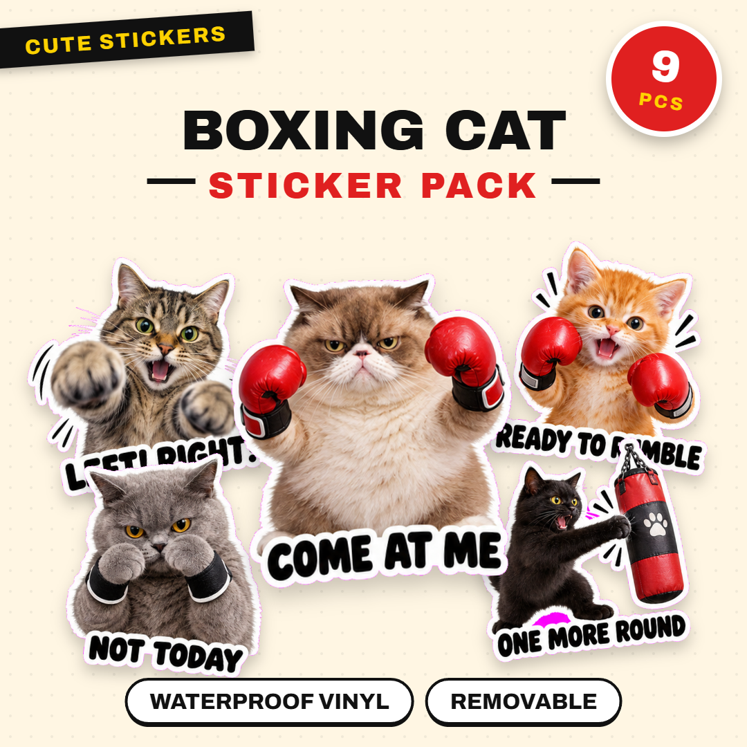 Boxing Cat