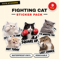 Fighting Cat