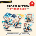 Storm Kitten