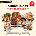 Curious Cat
