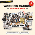 Working Racoon