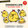Chicks' Life