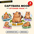 Capybara Mood