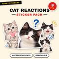 Cat Reactions