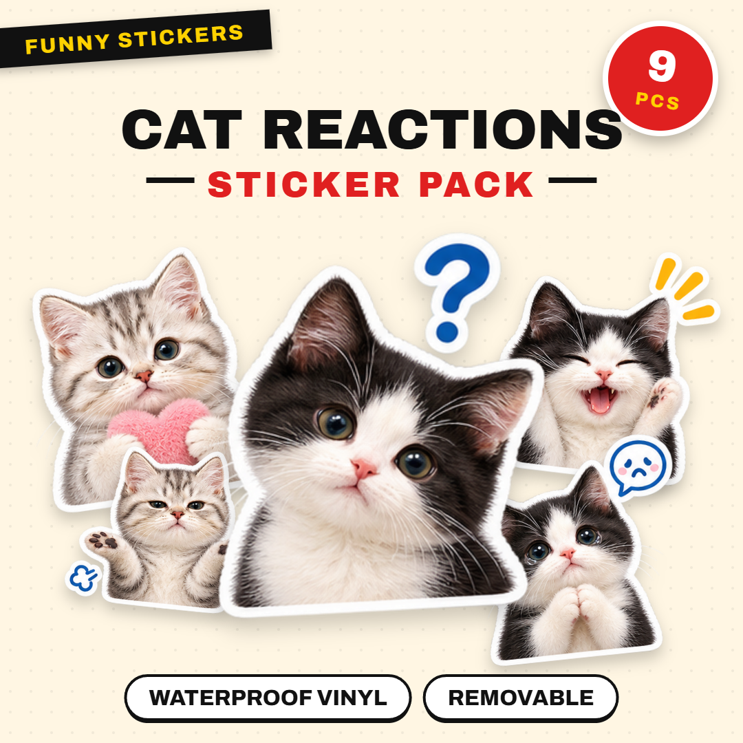 Cat Reactions