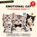Emotional Cat