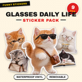 Glasses Cat Daily Life