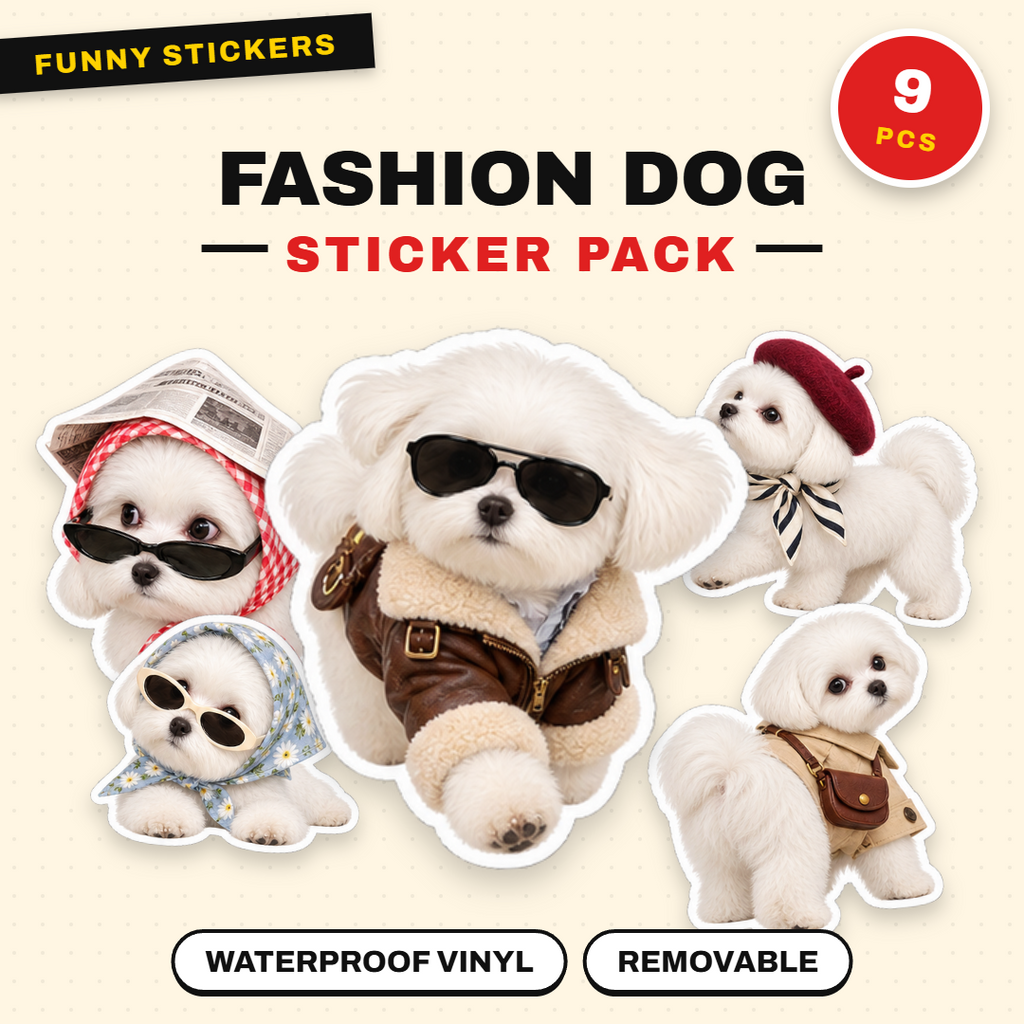Fashion Dog
