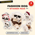 Fashion Dog