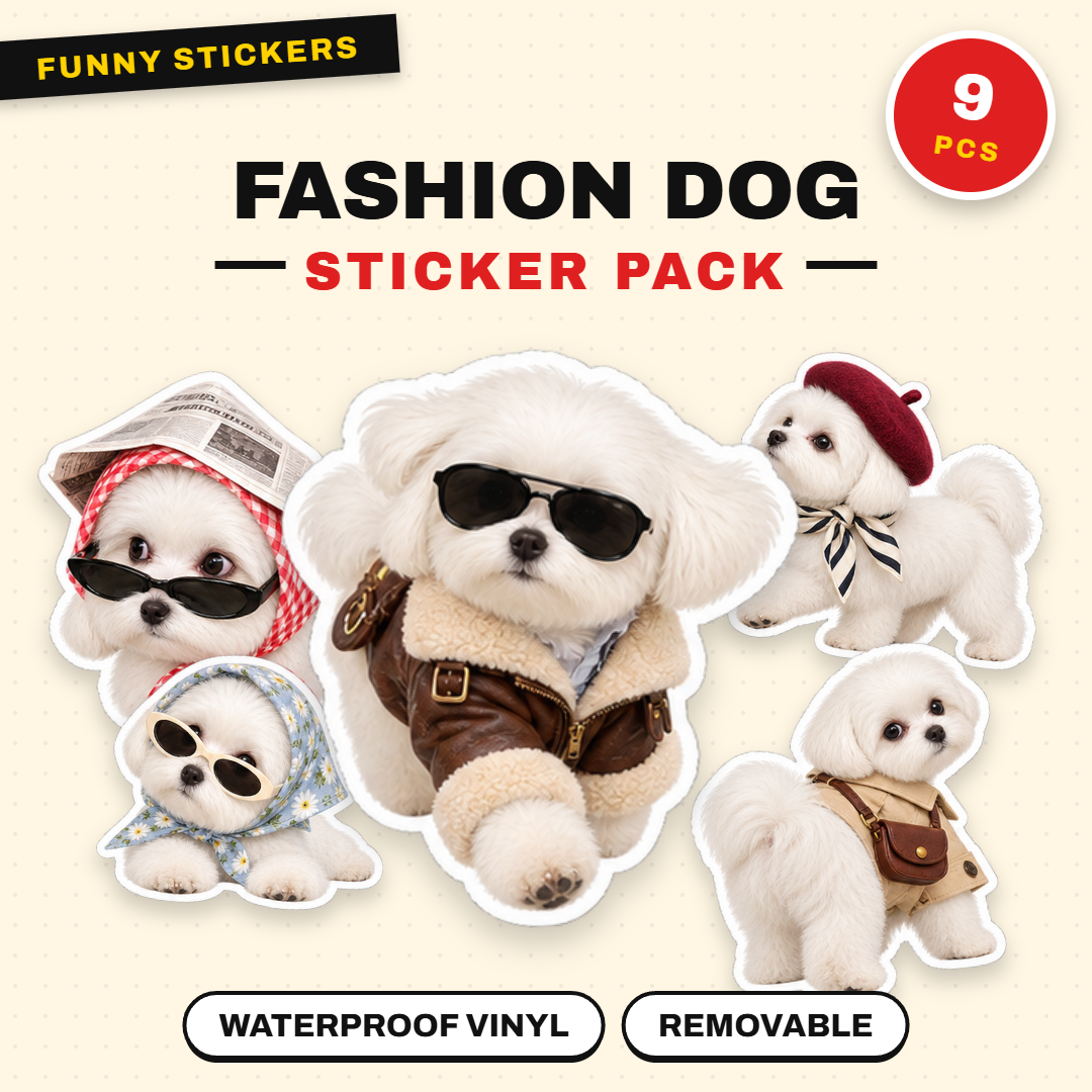 Fashion Dog