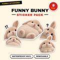 Funny Bunny