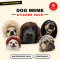 Funny Dog
