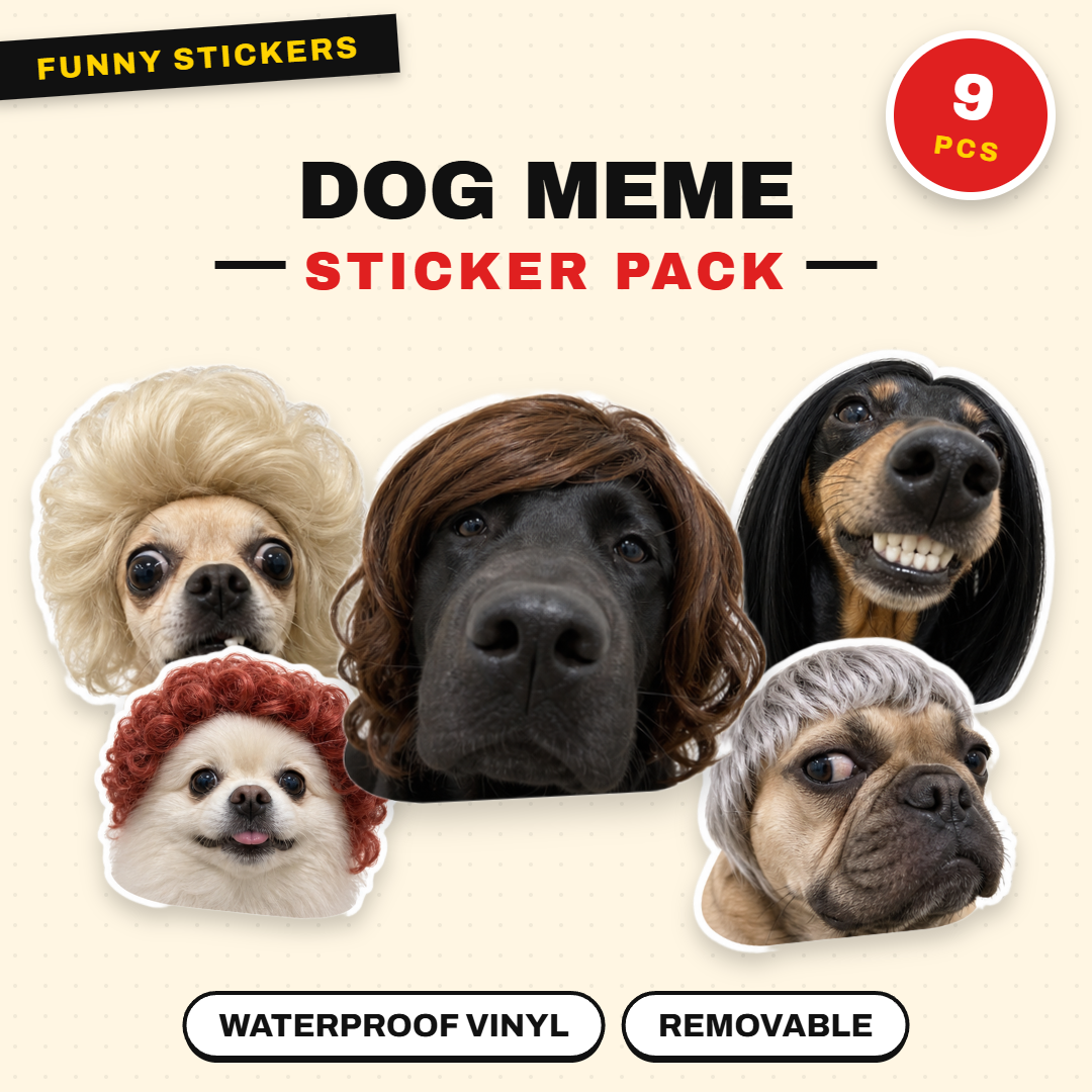 Funny Dog