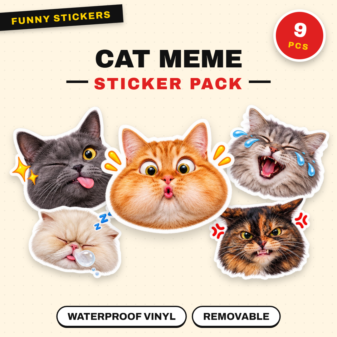 Cat Meme 2