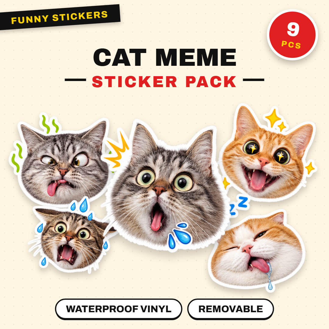 Cat Meme