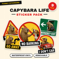 Capybara Life