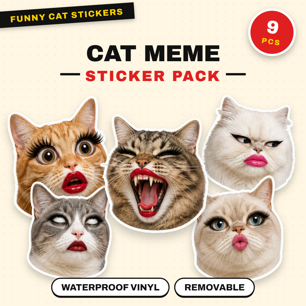 Cat Meme