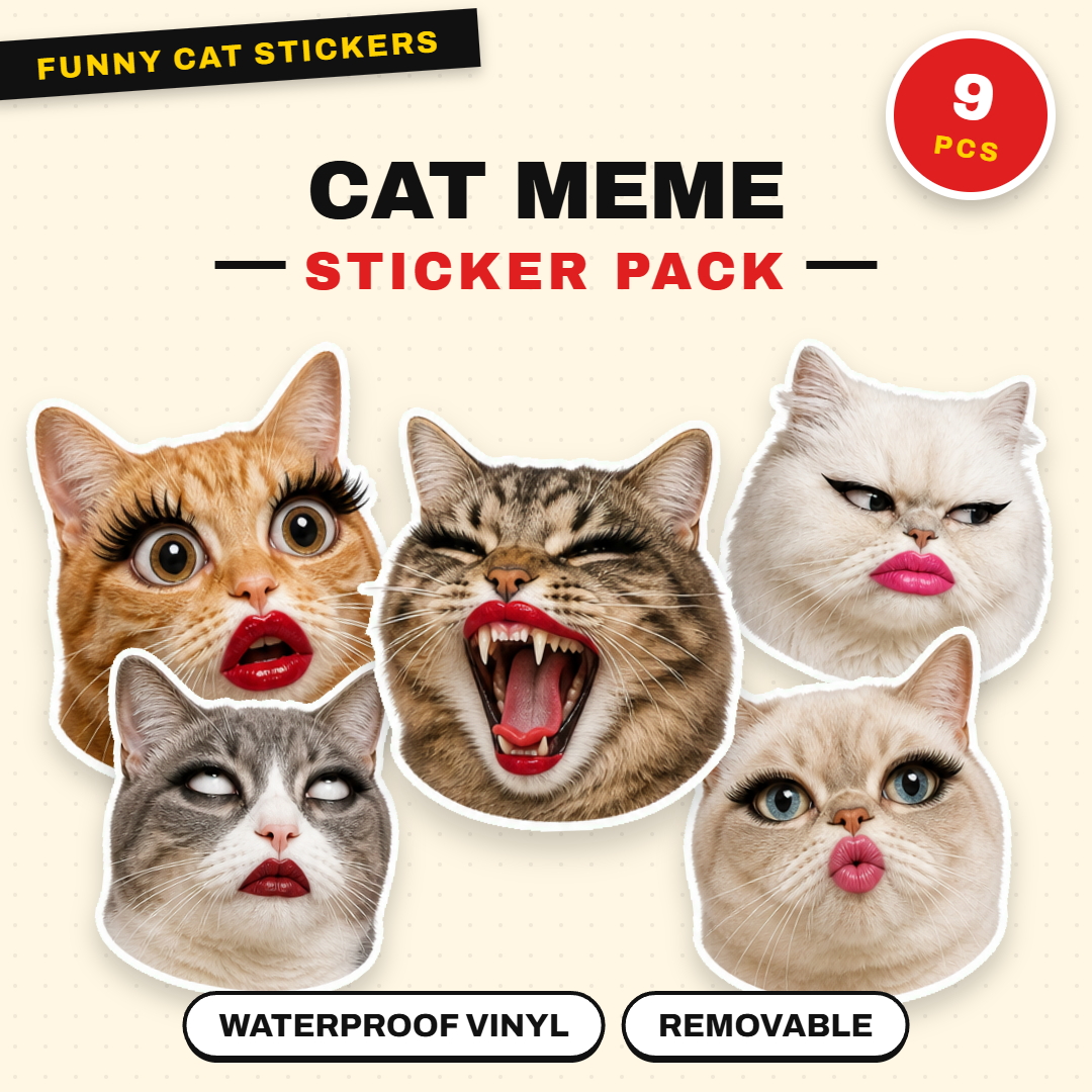 Cat Meme