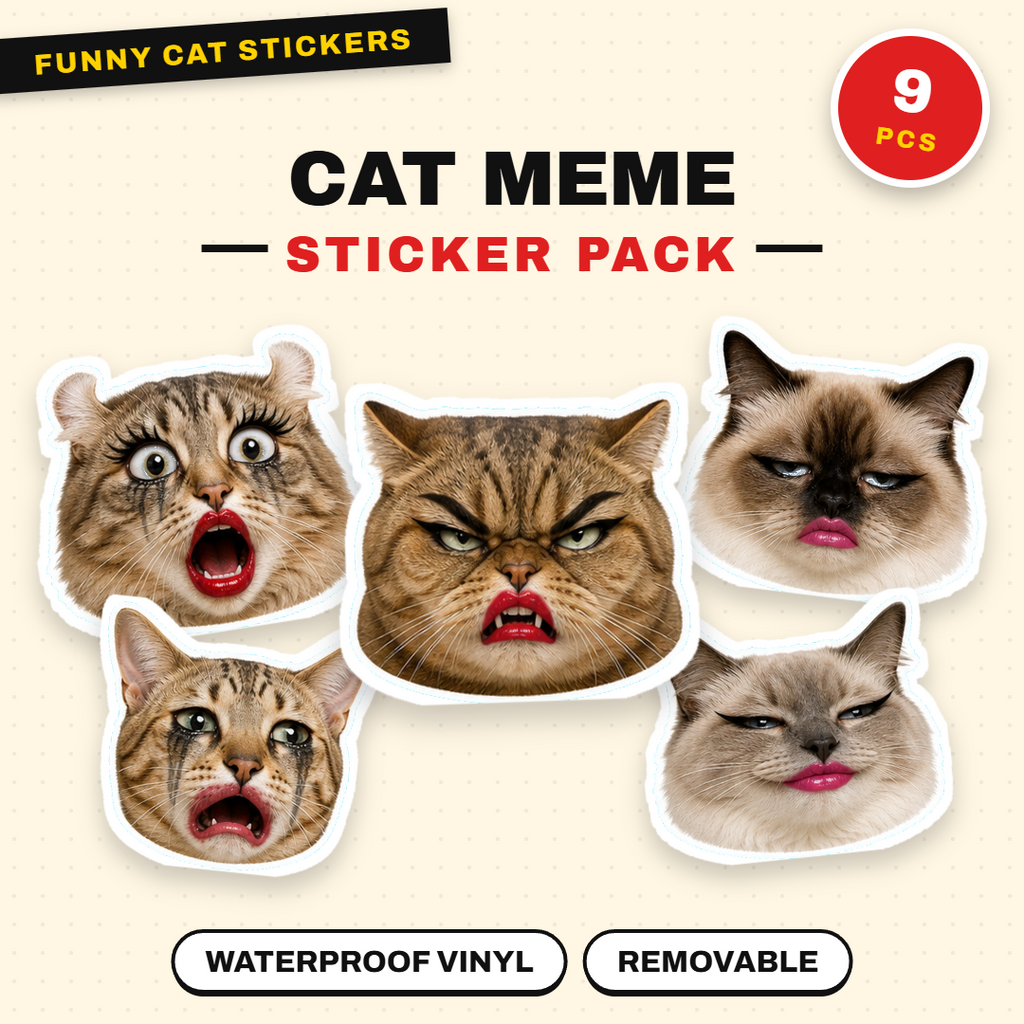 Exaggerated Cat Faces