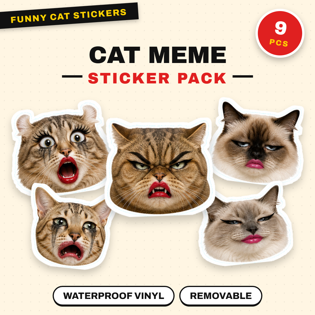Exaggerated Cat Faces