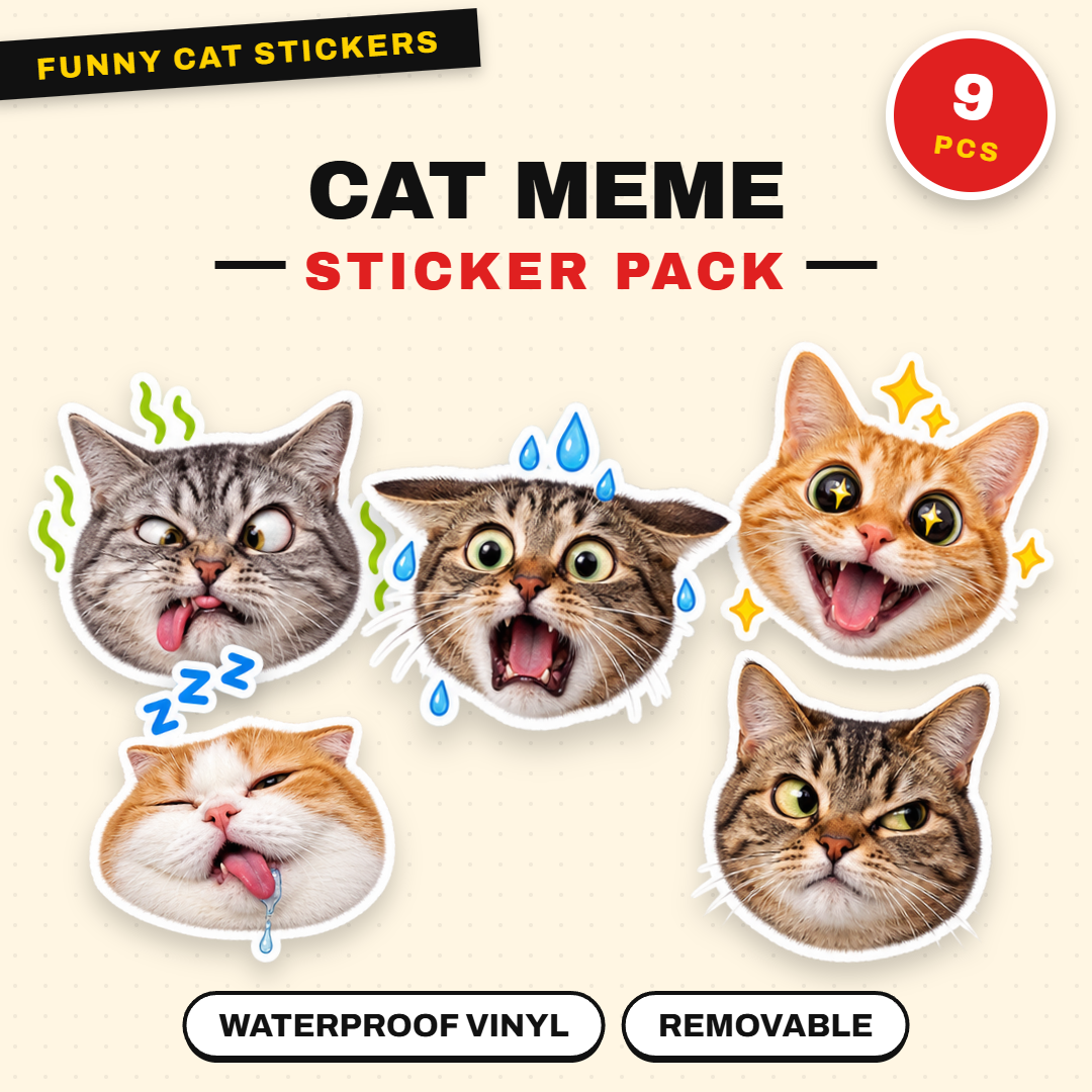 Exaggerated Cat Faces