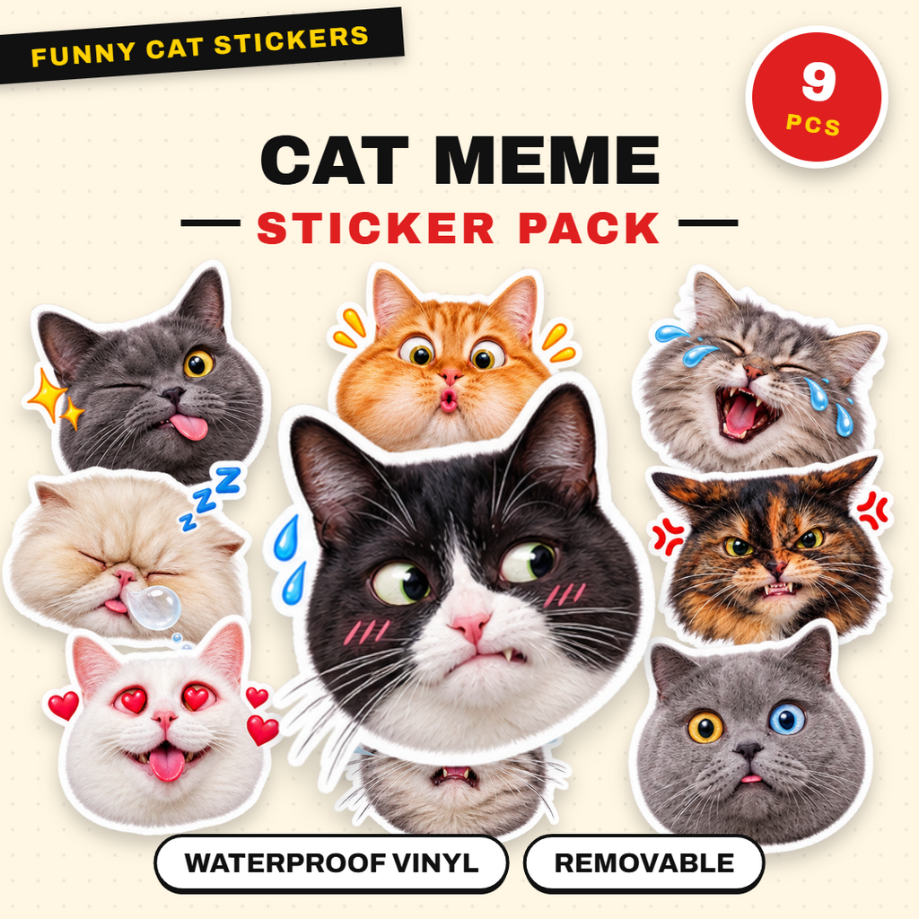 Exaggerated Cat Faces