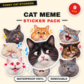 Exaggerated Cat Faces