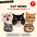 Exaggerated Cat Faces