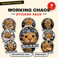 Working Chaos