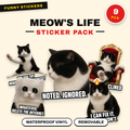 Meow's Life