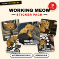 Working Meow