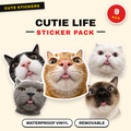 Cutie Life